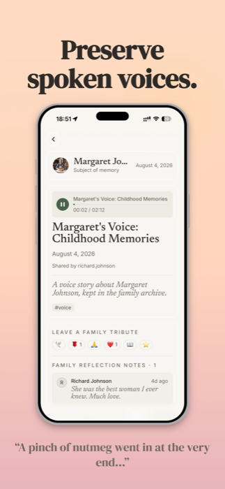 Voice memory detail with audio waveform playback
